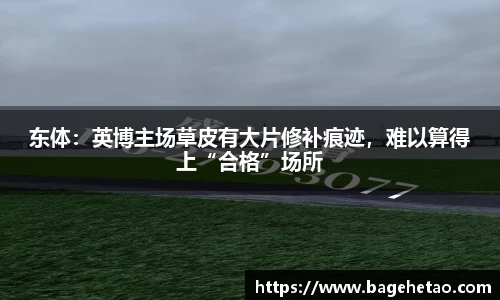 东体：英博主场草皮有大片修补痕迹，难以算得上“合格”场所